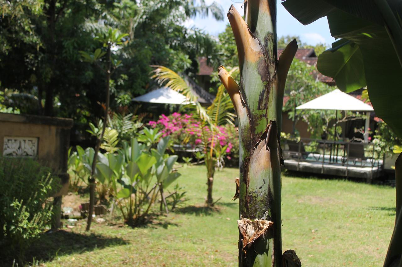 Hotel Puri Kutat Lestari Sanur Zewnętrze zdjęcie
